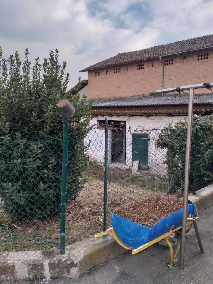 immagine annuncio 9 di 15