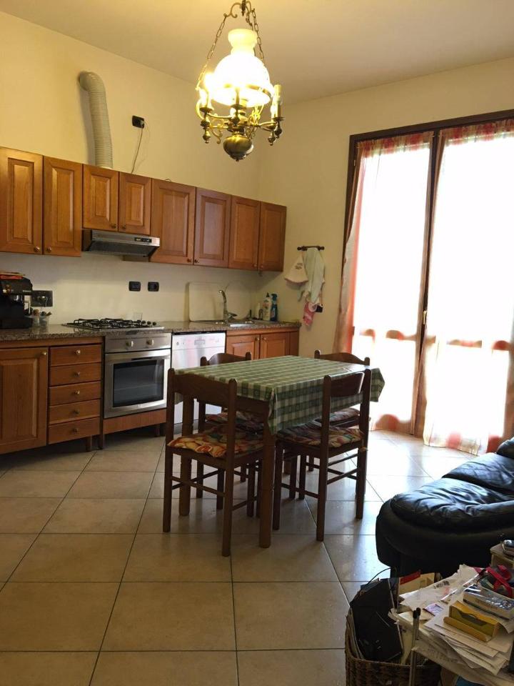 immagine annuncio 2 di 12