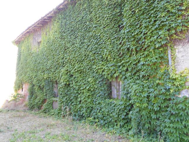 Rustico in Via Provinciale Nord, Bagnolo in Piano - Foto 1