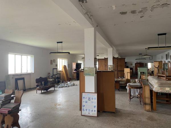 Magazzino in , Verucchio, {3} - Foto 2