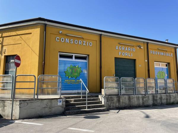 Agriturismo in Via De Garattoni, Santarcangelo Di Romagna, {3} - Foto 1