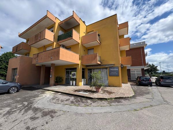 Tempo libero in Via Ugo Bassi, Santarcangelo Di Romagna, {3} - Foto 1