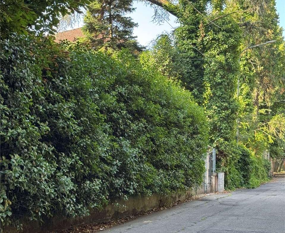 immagine annuncio 6 di 8