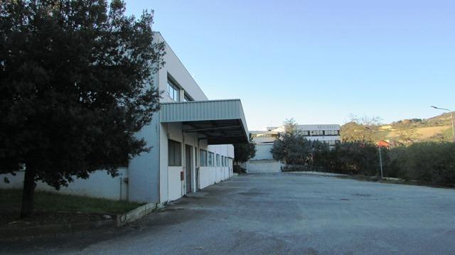 Capannone in Via Leonardo da Vinci, San Benedetto Del Tronto, {3} - Foto 1