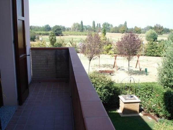 immagine annuncio 6 di 8