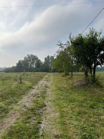 immagine annuncio 6 di 7