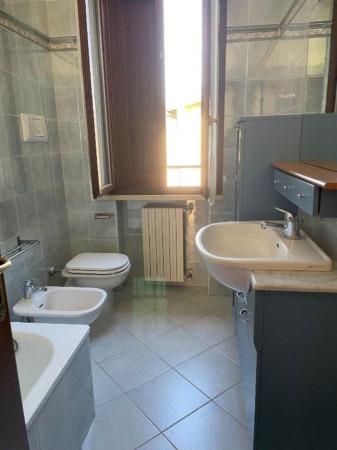 immagine annuncio 5 di 14