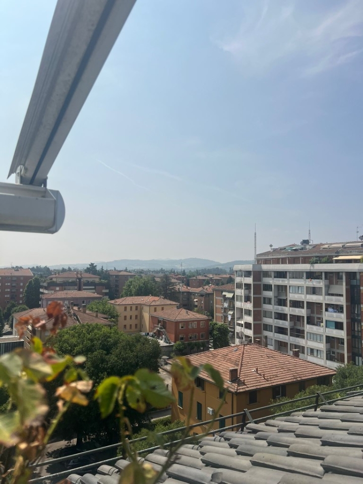 immagine annuncio 12 di 14