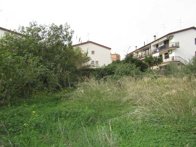 insertion image