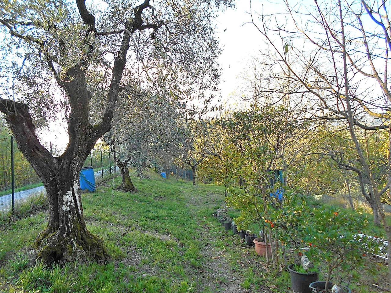 immagine annuncio 3 di 7