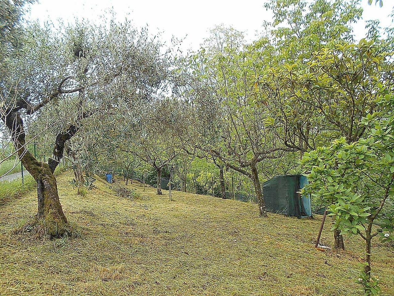 immagine annuncio 2 di 7