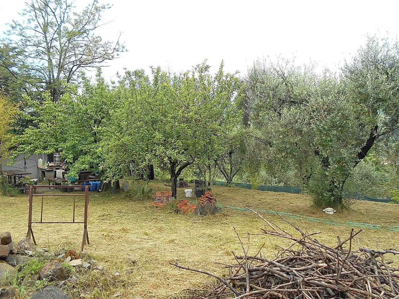 immagine annuncio 1 di 7