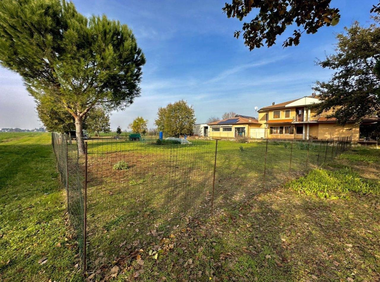 immagine annuncio 2 di 11