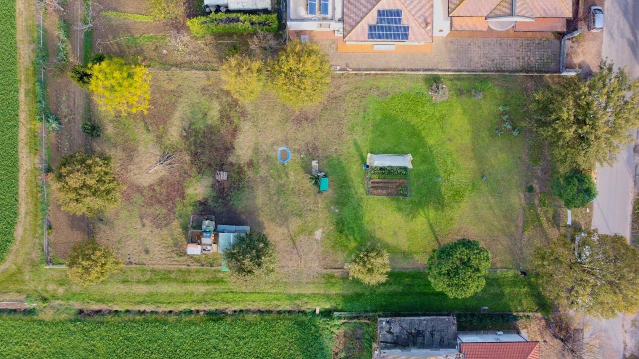 immagine annuncio 1 di 11