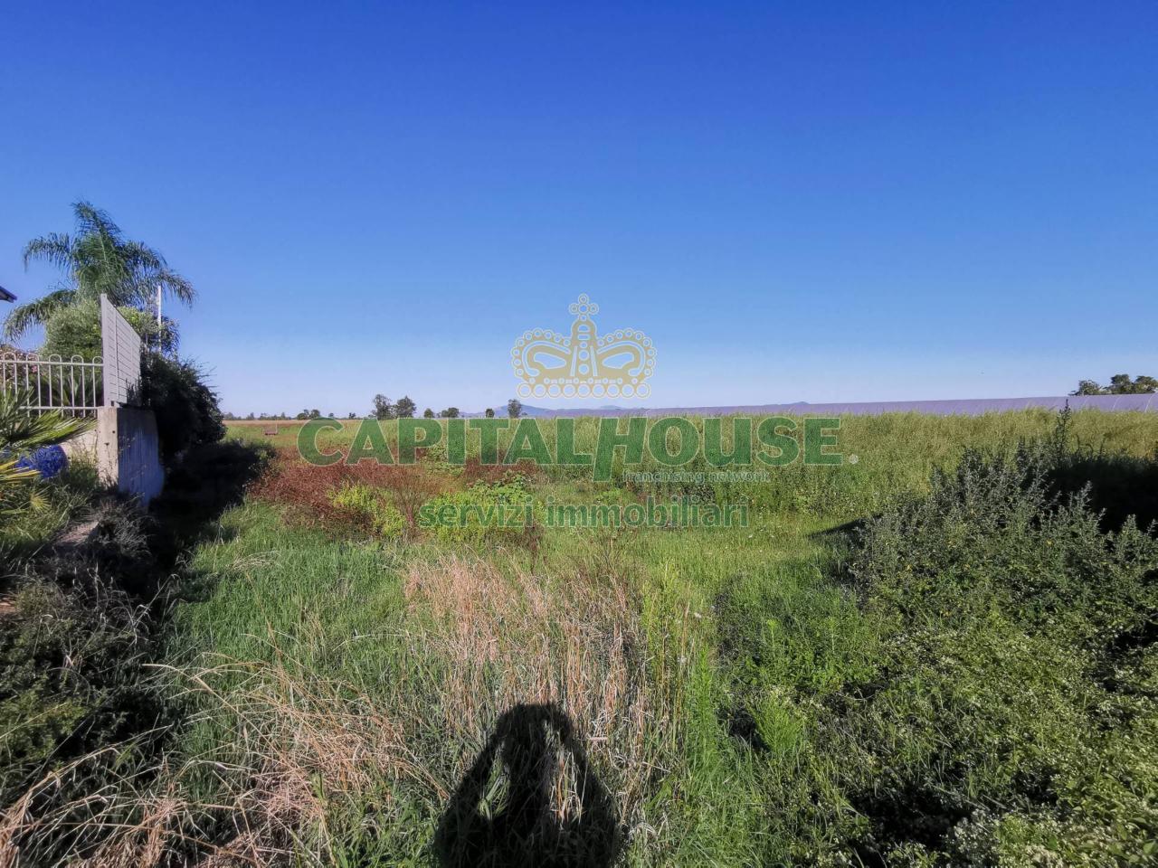 immagine annuncio 7 di 9