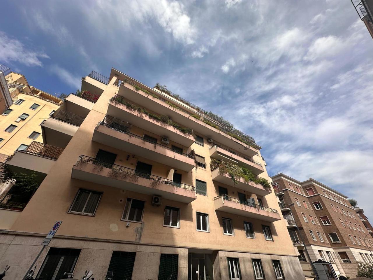 immagine annuncio 11 di 14