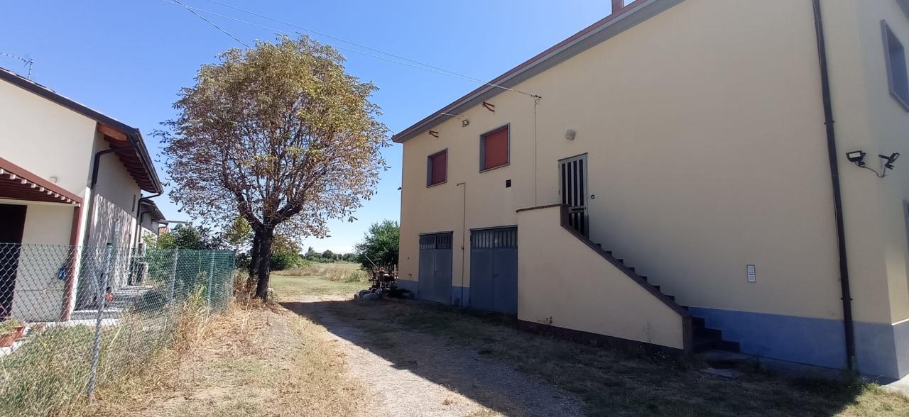 immagine annuncio 2 di 6