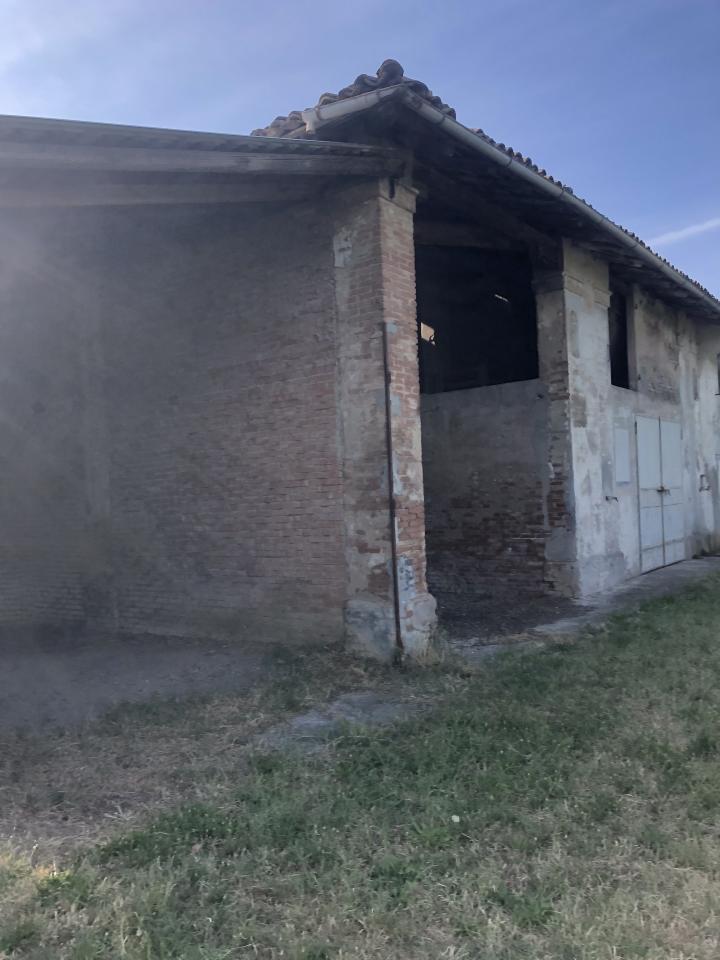 immagine annuncio 2 di 11