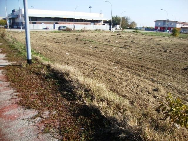 immagine annuncio 5 di 12