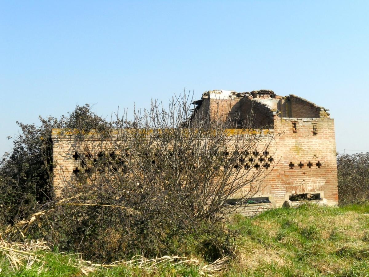 immagine annuncio 10 di 15