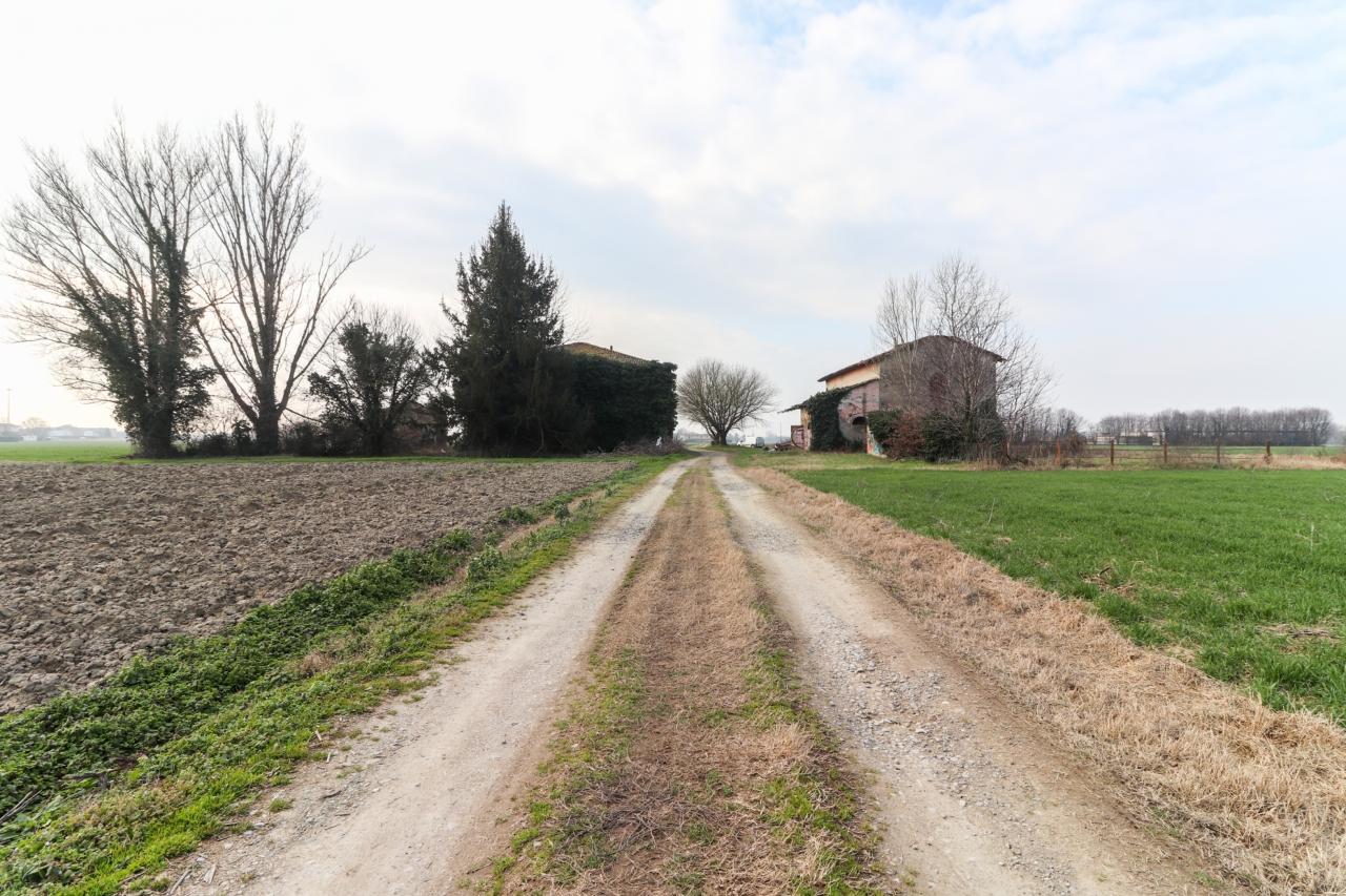 immagine annuncio 5 di 8