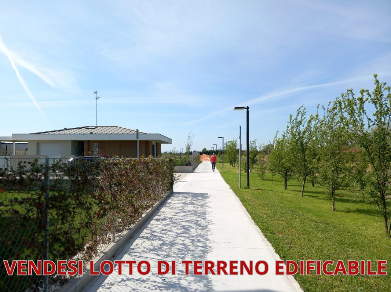 immagine annuncio 4 di 7