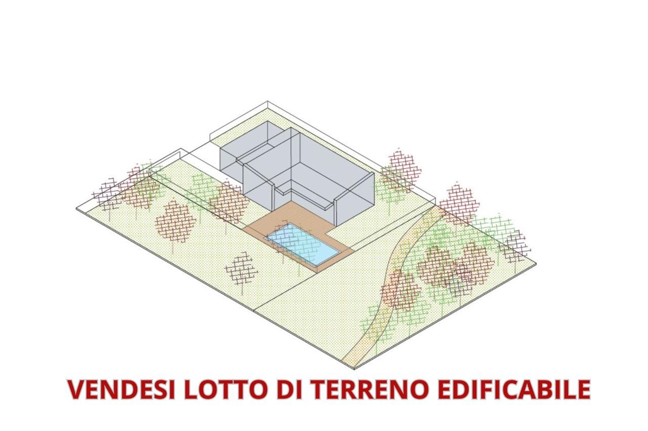 immagine annuncio 3 di 7