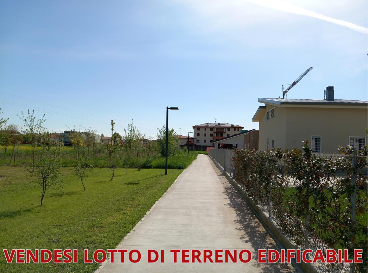 immagine annuncio 5 di 7