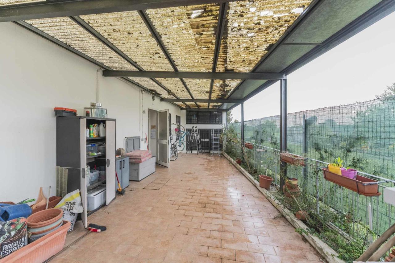 immagine annuncio 12 di 14