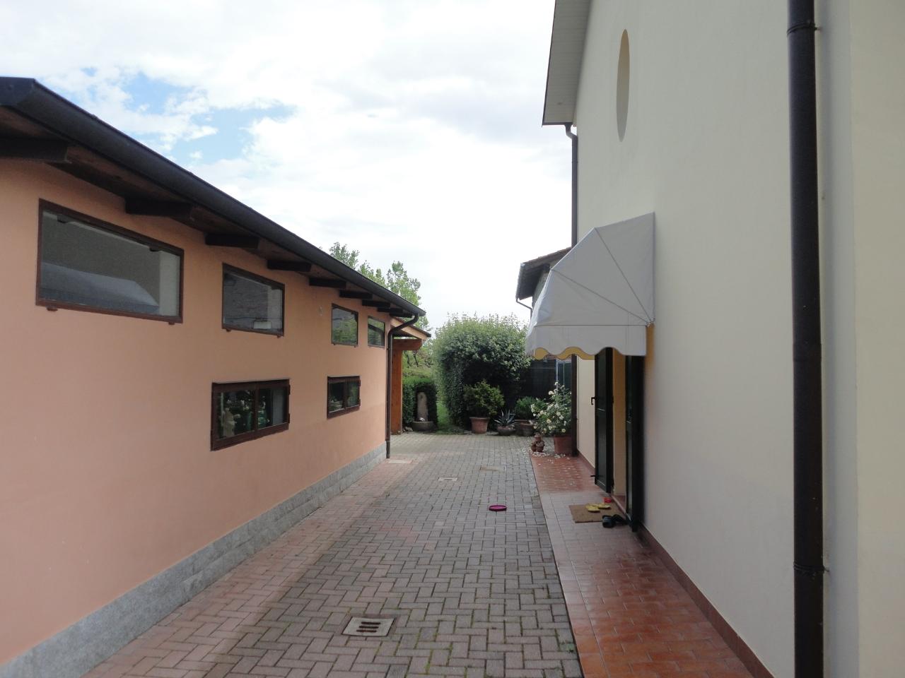 immagine annuncio 12 di 15