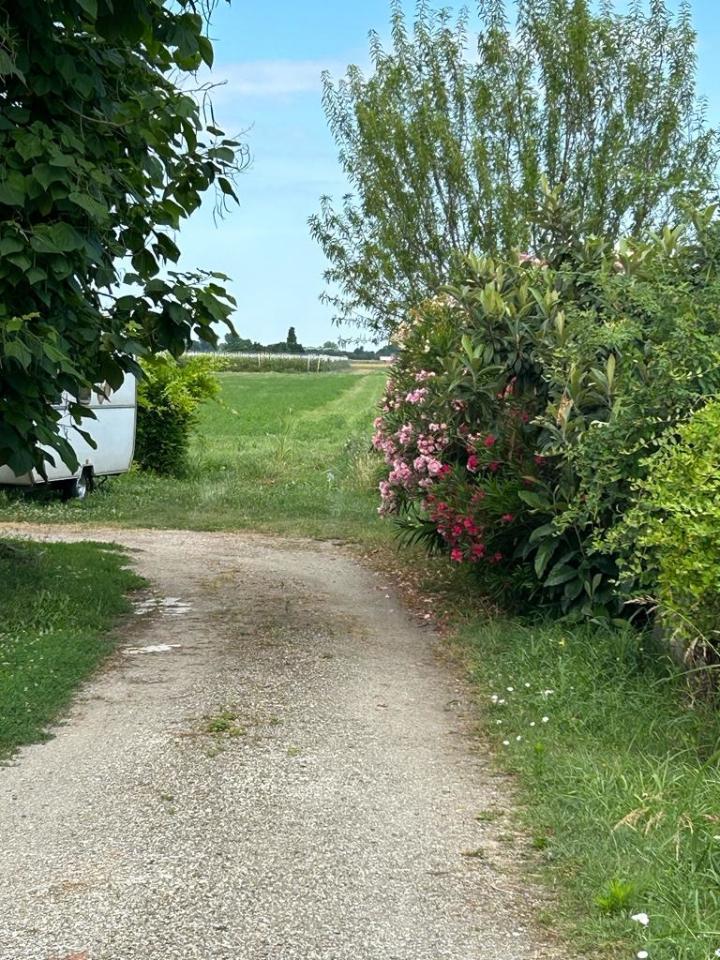 immagine annuncio 1 di 7