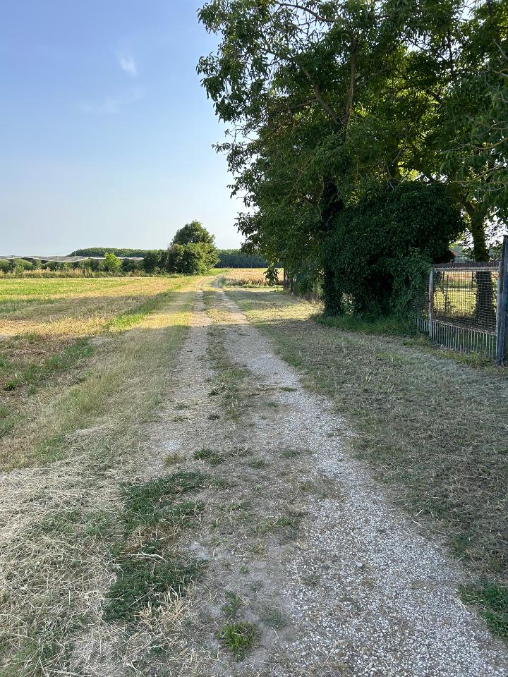 immagine annuncio 2 di 3