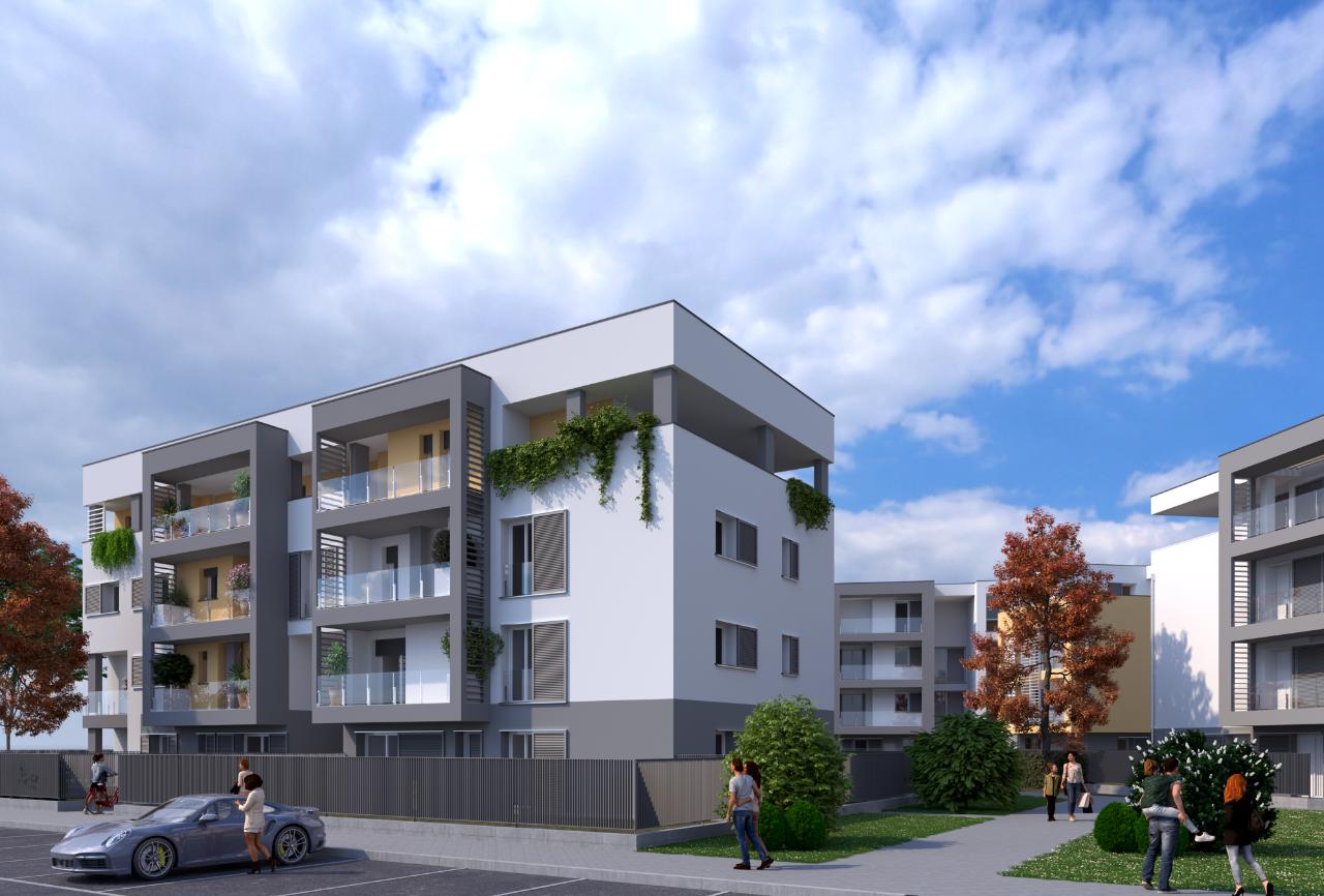 immagine annuncio 5 di 11