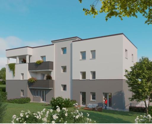 immagine annuncio 1 di 2