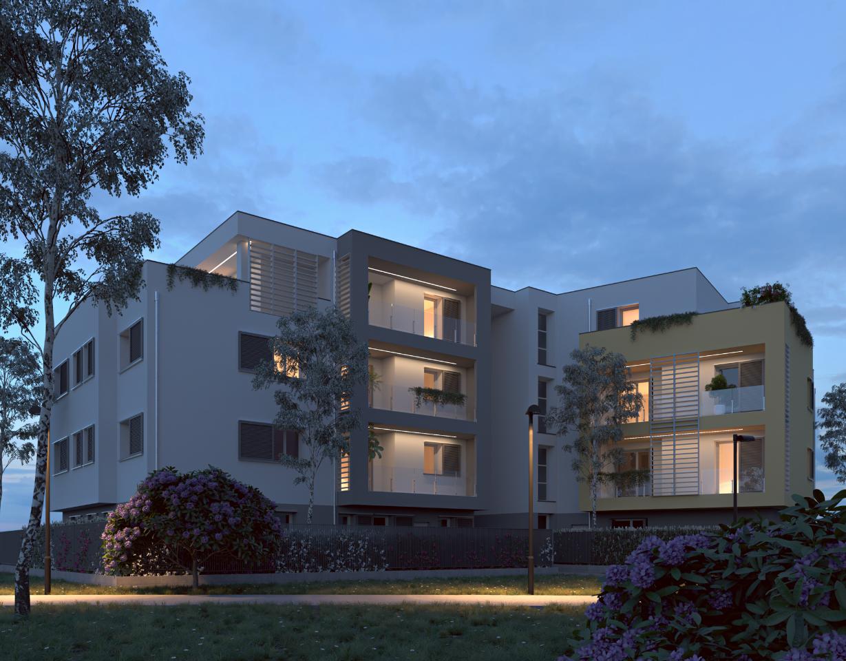 immagine annuncio 5 di 15