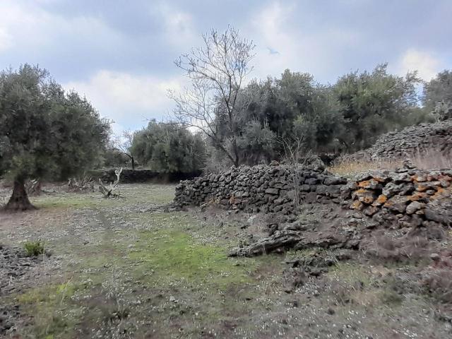 Terreno agricolo in {3}, Via Calatafimi - Foto 1