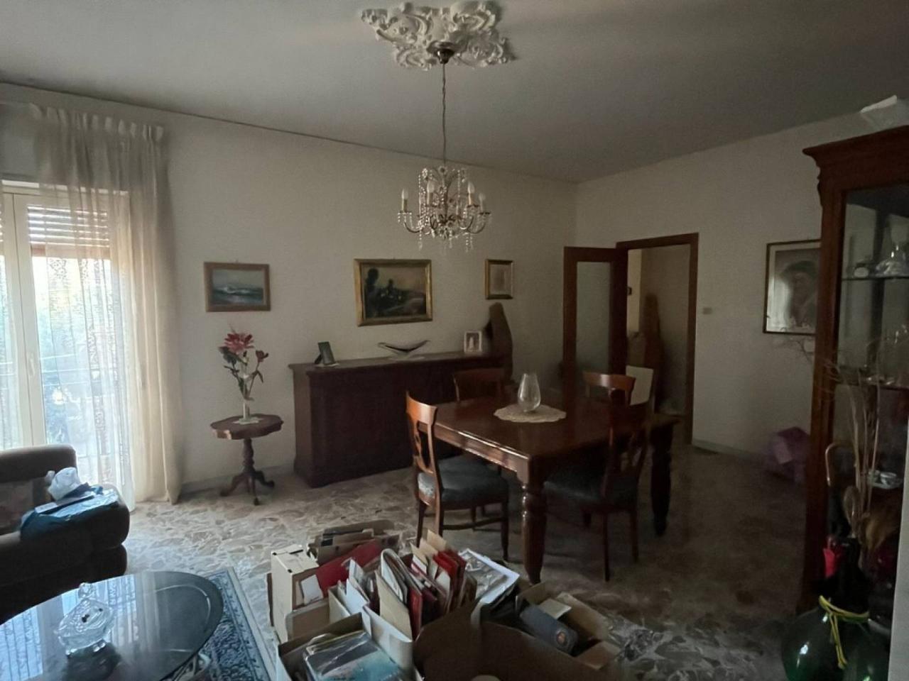 immagine annuncio 3 di 14