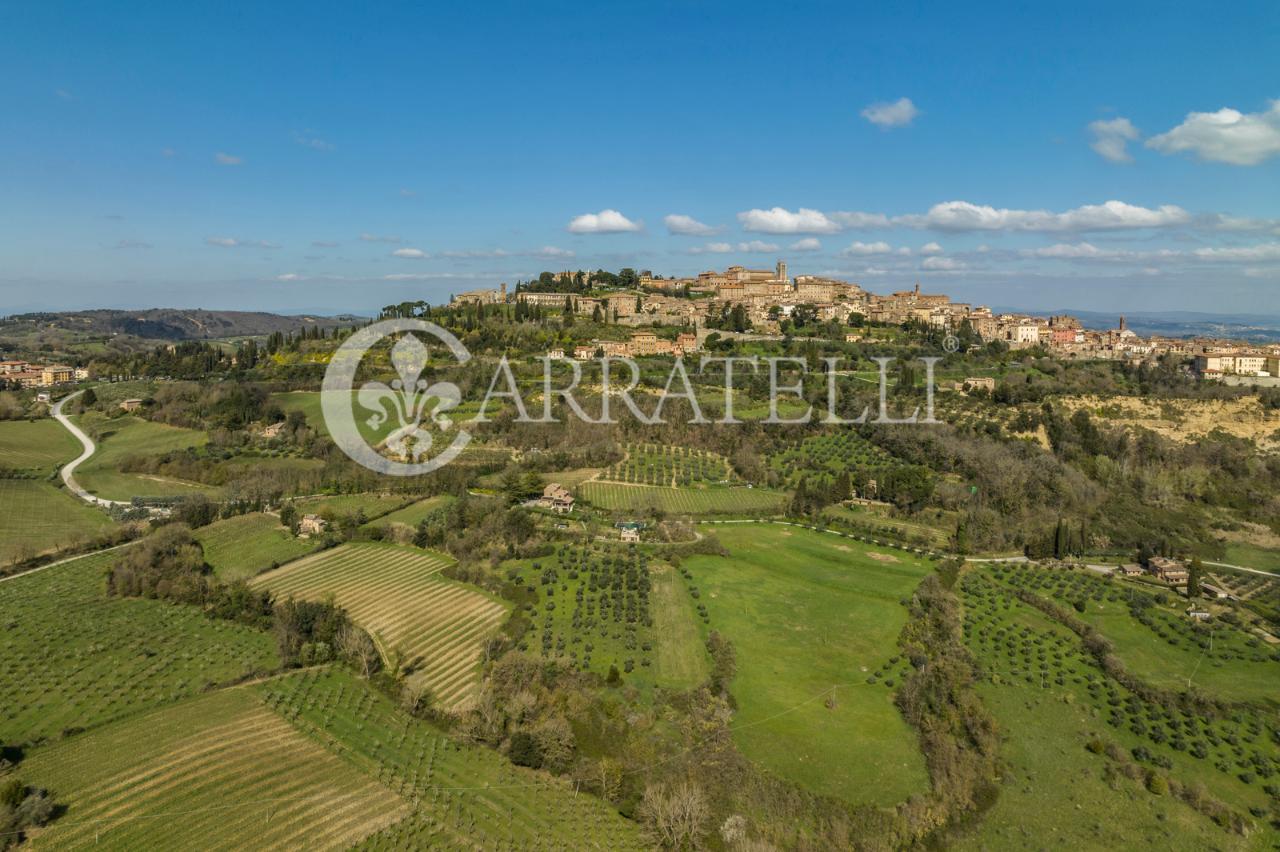 Azienda agricola in Via Calamandrei 42, Montepulciano, {3} - Foto 1