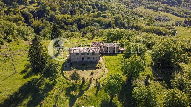 Country house or cottage in Località Melazzano, Greve in Chianti - Photo 1