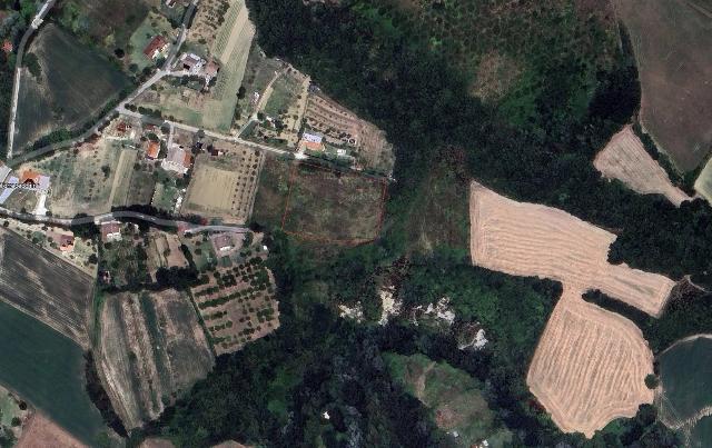 insertion image
