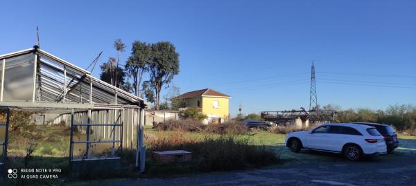 Capannone in Via Frugarolo 5, Alessandria, {3} - Foto 1