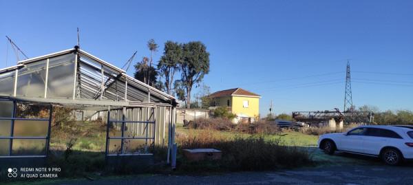 Capannone in Via Frugarolo 5, Alessandria, {3} - Foto 2