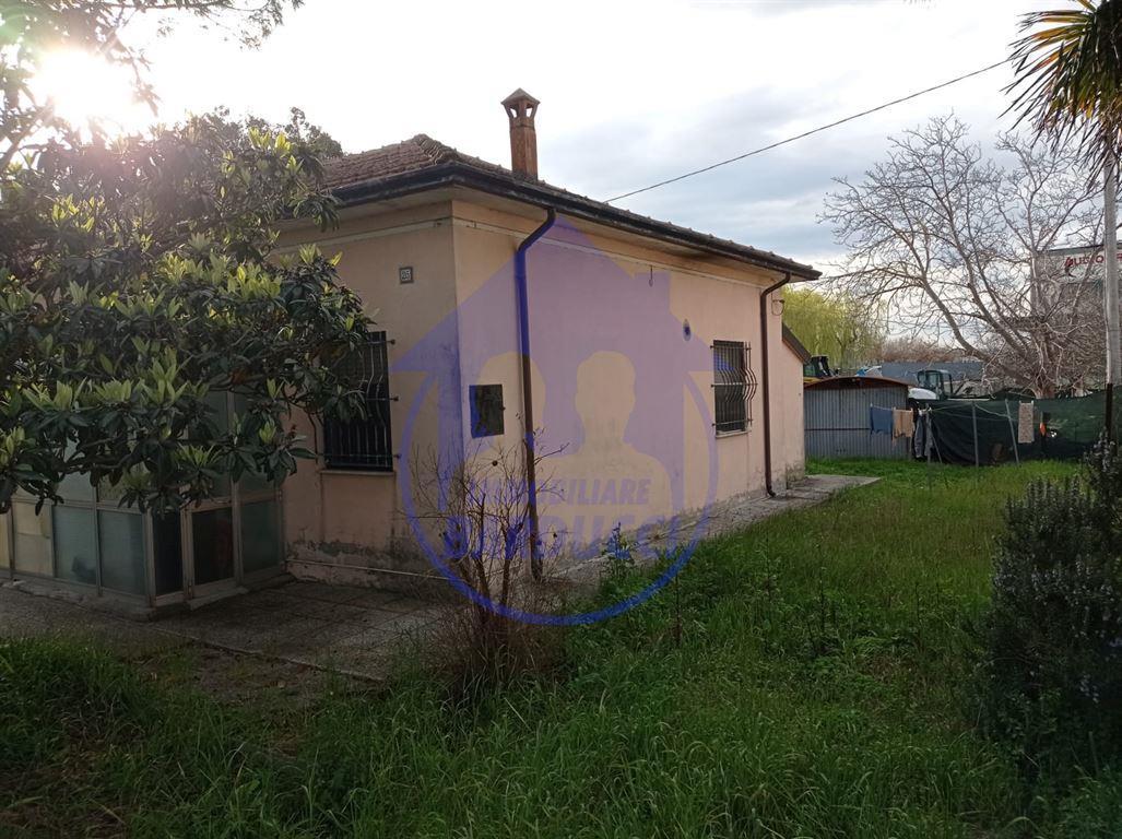 immagine annuncio 1 di 7