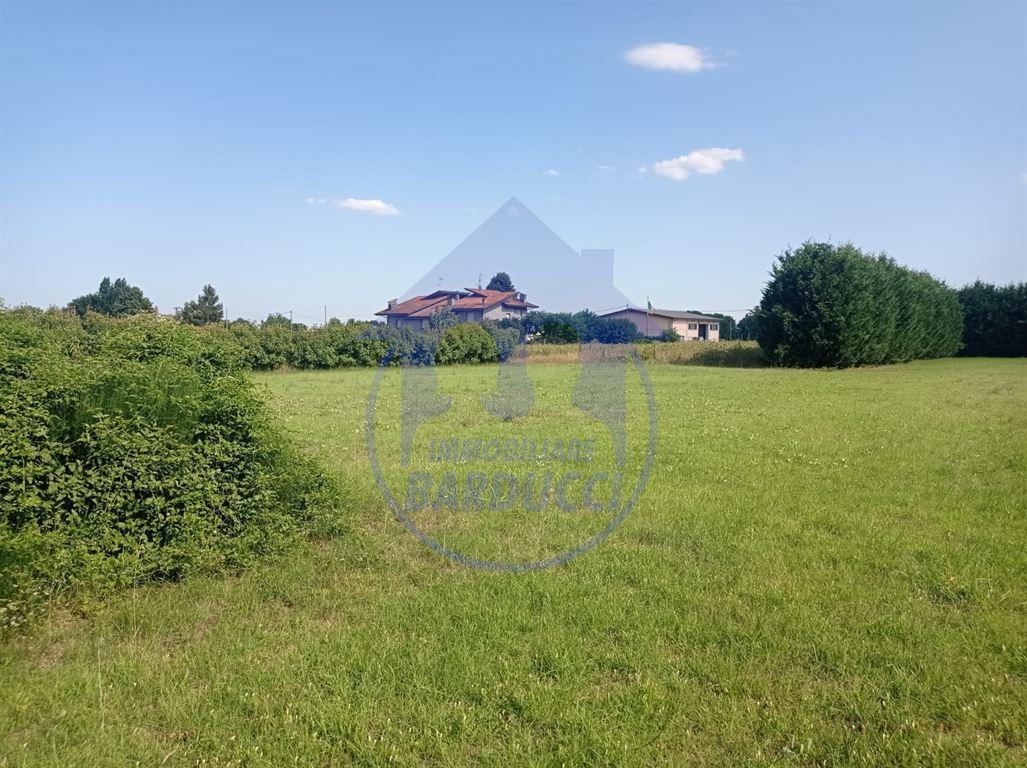 immagine annuncio 3 di 8