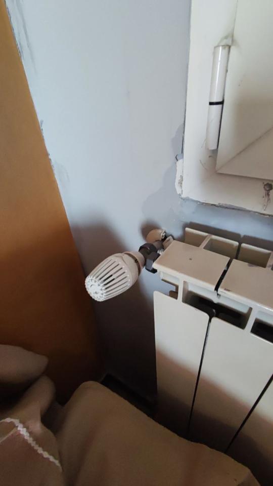 immagine annuncio 12 di 14