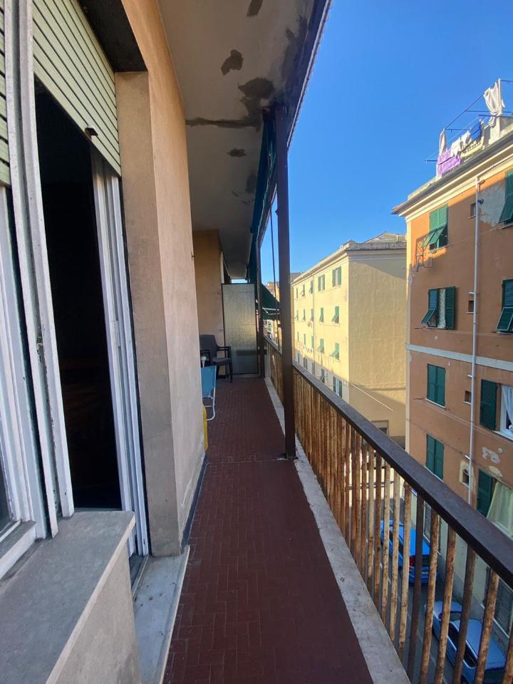 immagine annuncio 6 di 13