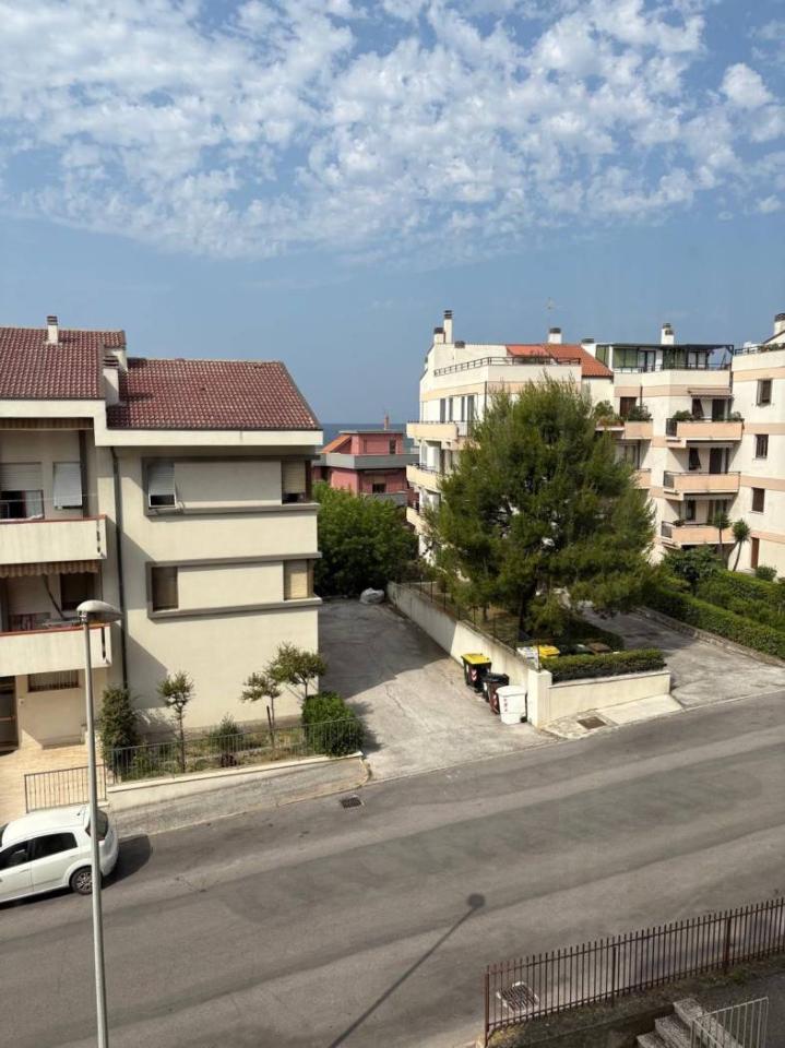 immagine annuncio 12 di 14