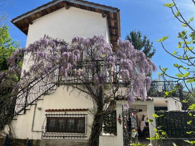 Villa in Cascina Ronchi, Trisobbio - Foto 1