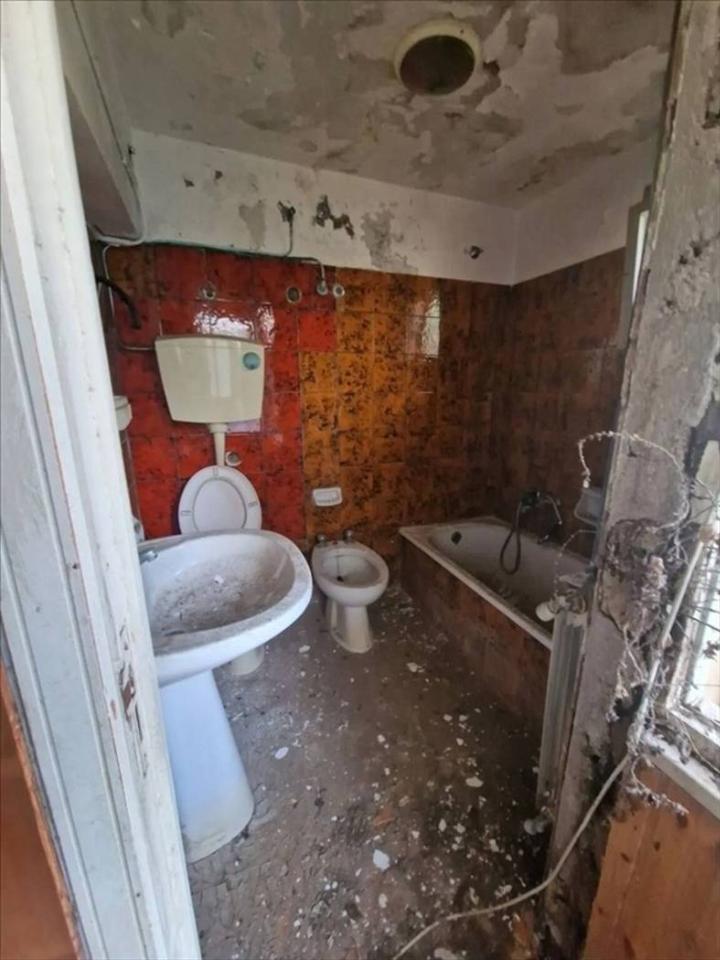 immagine annuncio 7 di 13