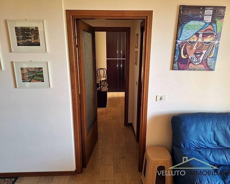 immagine annuncio 5 di 14